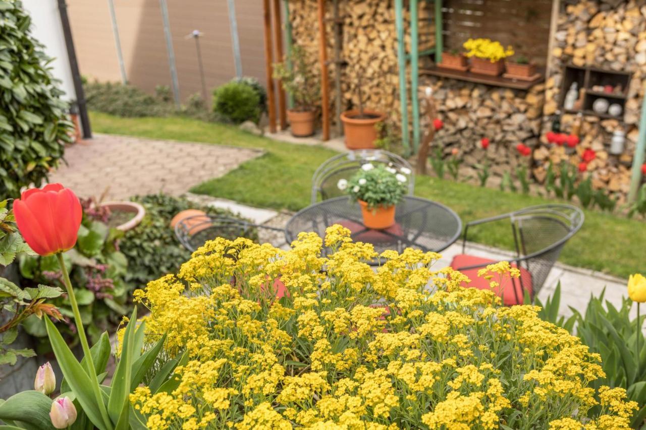 Haus Schneider Apartman Kressbronn am Bodensee Kültér fotó