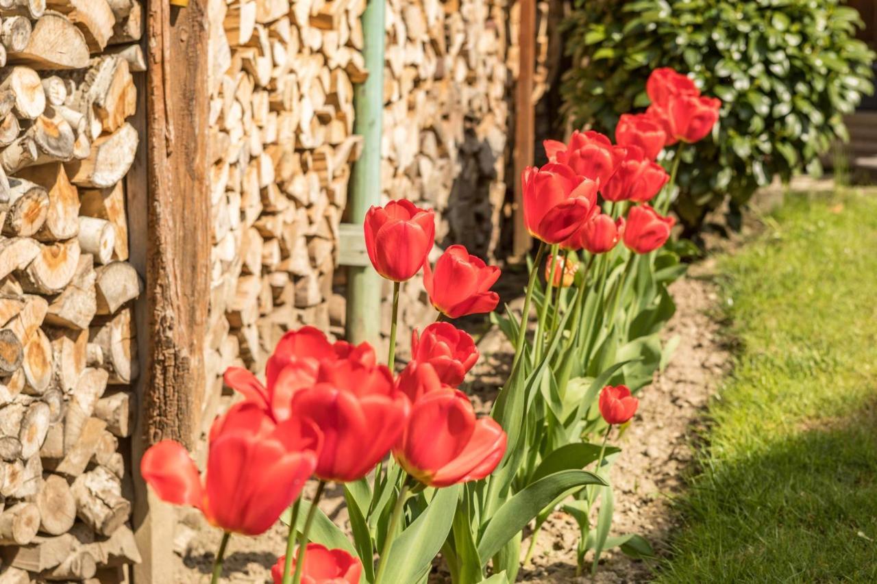 Haus Schneider Apartman Kressbronn am Bodensee Kültér fotó