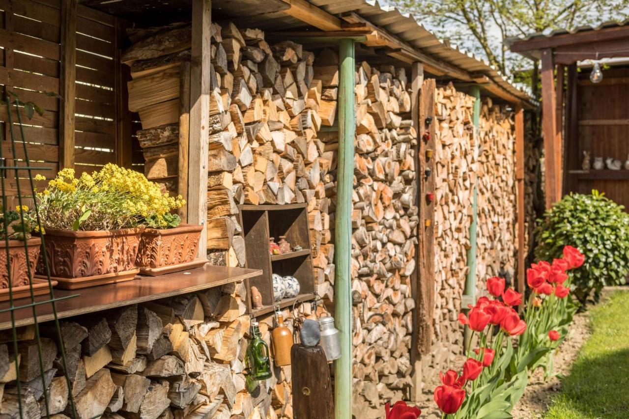 Haus Schneider Apartman Kressbronn am Bodensee Kültér fotó
